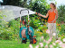 Тележка для шланга  60 HG Classic GARDENA 08003-20.000.00 в Санкт-Петербурге