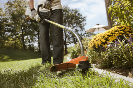 Бензиновый триммер STIHL FS 38 в Санкт-Петербурге