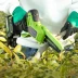 Цепная мини пила аккумуляторная Greenworks GD24CSMNX, 24V c 1хАКБ 2Ач и ЗУ в Санкт-Петербурге