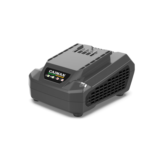 Зарядное устройство Caiman ENO C6025 в Санкт-Петербурге