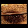 Шланг сочащийся для наземной прокладки  13 мм (1/2”) х 50 м GARDENA 01386-20.000.00 в Санкт-Петербурге