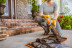 Мотоножницы аккумуляторные STIHL HSA 25 в Санкт-Петербурге