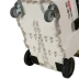 Пылесос EVOline CVC 140 Power Tool and Air Tool (M-class) в Санкт-Петербурге