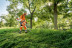 Бензиновый триммер STIHL FS 120 в Санкт-Петербурге