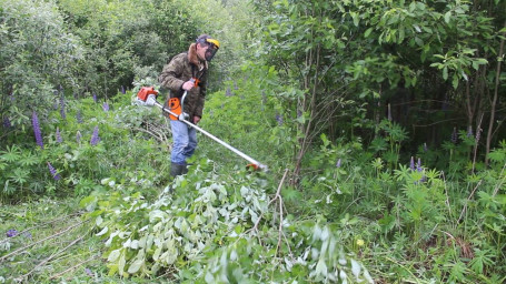 Бензиновый триммер STIHL FS 120 в Санкт-Петербурге