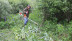 Бензиновый триммер STIHL FS 120 в Санкт-Петербурге