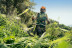 Мотокоса STIHL FS 250 в Санкт-Петербурге