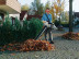 Всасывающий бензиновый измельчитель STIHL SH 86 42410110930 в Санкт-Петербурге