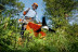 Мотокоса-кусторез STIHL FS 490 C-EM K в Санкт-Петербурге