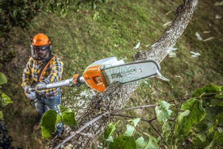 Аккумуляторный высоторез STIHL HTA 85 с AP 300 и AL 300 в Санкт-Петербурге